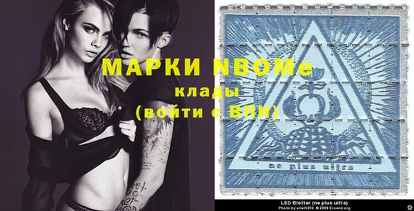 дживик Майский