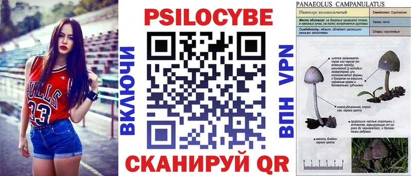 Галлюциногенные грибы ЛСД Раменское